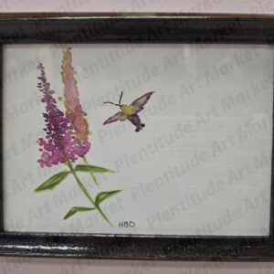 Pollinator Series - Hummingbird Moth