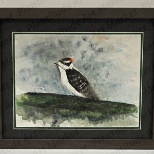 Downy Woodpecker