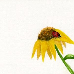 Pollinator Series - Lady Bug