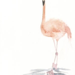 Eclipse Flamingo 3