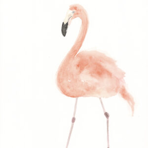 Eclipse Flamingo 1