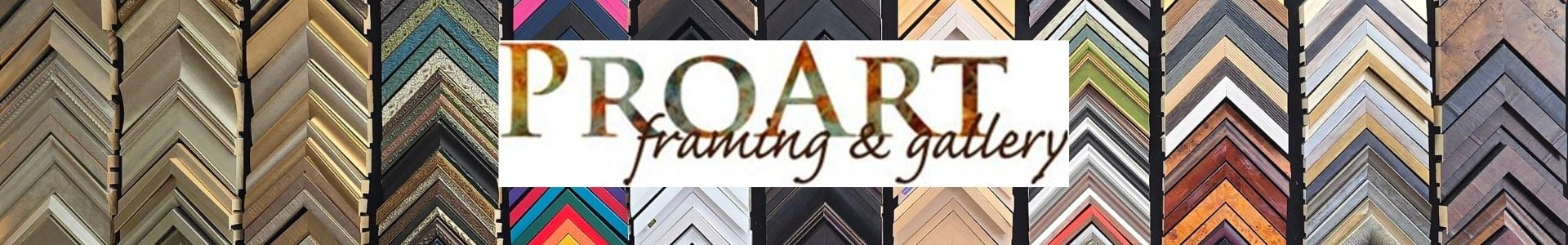 Pro Art Gallery