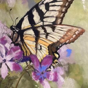 Butterfly in Soft Pastel