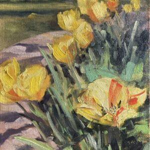 Tulips…here today, gone tomorrow