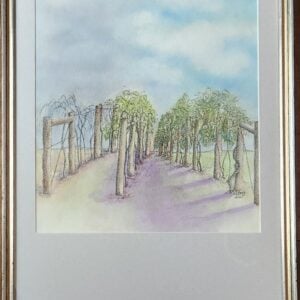 Aging Well - Framed
