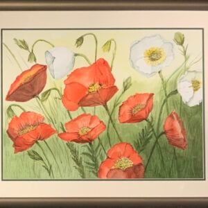 Red and White Poppies by Sara Rinker