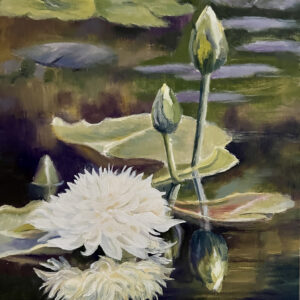 Peaceful Reflection