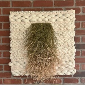 Woven and Wild