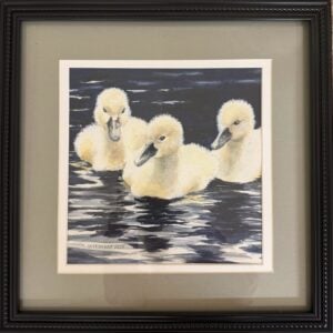 Triple Float