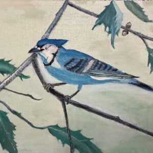 Blue Jay