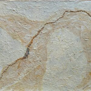 Fault Line