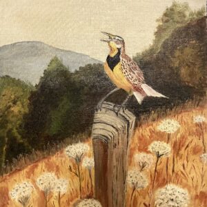 Meadow Lark
