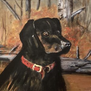 Dog In The Woods II
