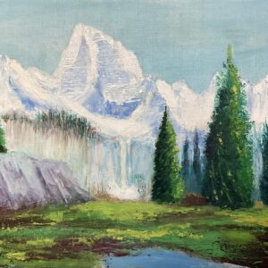 Snowy Mountains