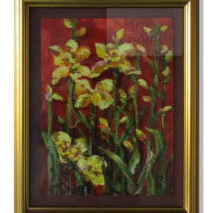 Iris