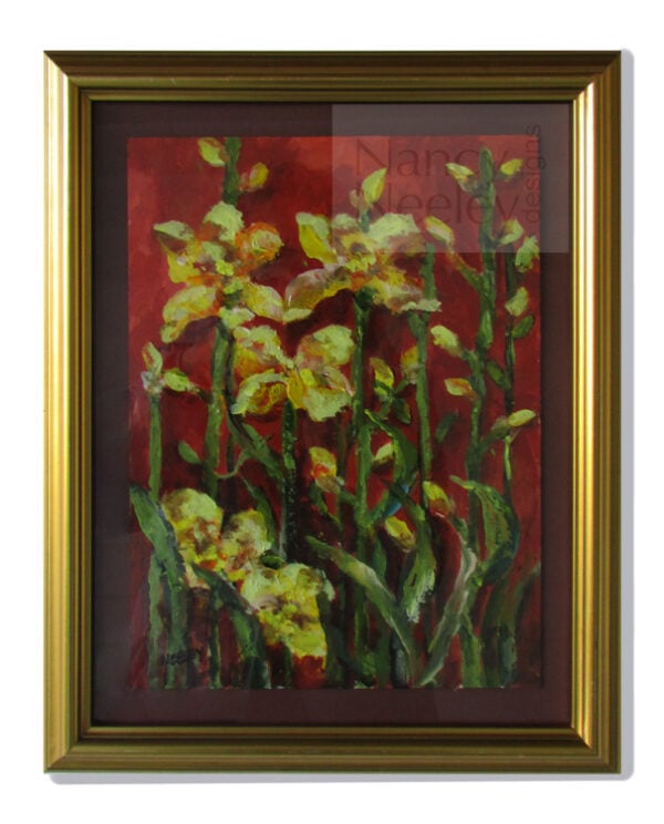 Iris